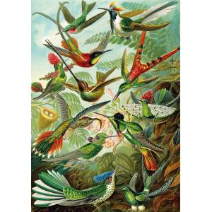 KS Games - Puzzle Haeckel: Hummingbirds - 1 500 piese