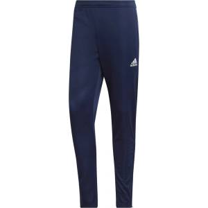 adidas Ent22 tr pnt l