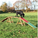 Trixie Agility lávka 456 x 64 x 30 cm do 80kg