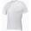 Endura Мъжка колоездачна тениска Endura Translite II S/S white