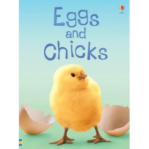 Eggs and Chicks | Fiona Patchett (ISBN: 9780746074527)