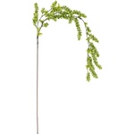 Bloomingville Изкуствена клонка (височина 132 cm) Reed - Bloomingville (82072842)
