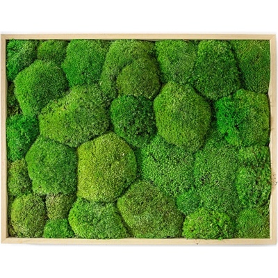 Gardners Mechový obraz 30x40 cm z kopečkového mechu, přírodní