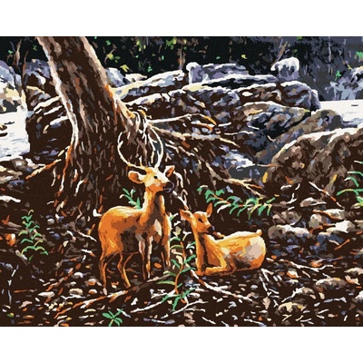 zuty Malování Podle Čísel Dva Jeleni V Lese 40 x 50 Cm Plátno Rám