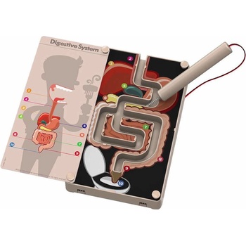 Kidzlabs 4M Tráviaci systém