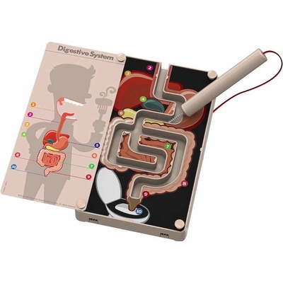 Kidzlabs 4M Tráviaci systém