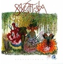 SYNAESTHESIA: SYNAESTHESIA CD