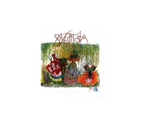 SYNAESTHESIA: SYNAESTHESIA CD