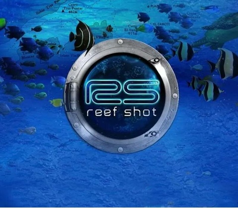 Reef Shot