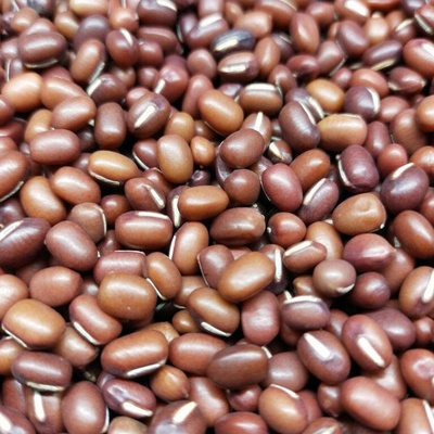 Microgreens Fazuľa Adzuki na mikrozelenine 100 g