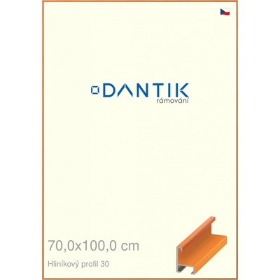 DANTIK rám na obraz 70 x 100 Dýha barevná oranžová