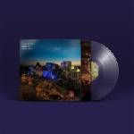 The Golden Dregs - On Grace & Dignity (Limited Edition) (Clear Coloured) (LP) (0191400052703)