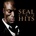 Hits Seal