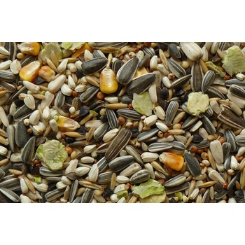 Avicentra Classic menu Veľký papagáj 1 kg