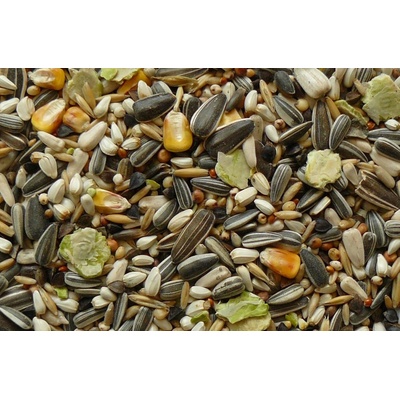 Avicentra Classic menu Veľký papagáj 1 kg