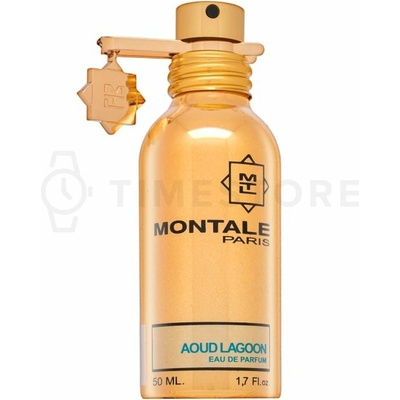 Montale Aoud Lagoon Parfumovaná voda unisex 50 ml