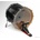 Evans BD24GB4