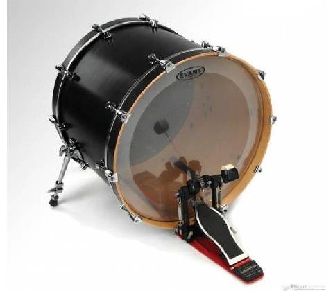 Evans BD24GB4