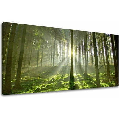 Obraz na stenu PANORÁMA STROMY - 40x80 cm