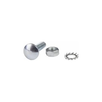 Baks Mushroom screw SG M6X25 650241 /100pcs /