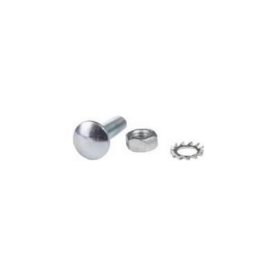Baks Mushroom screw SG M6X25 650241 /100pcs /