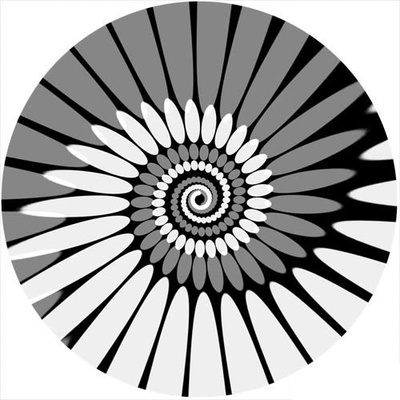 Zomo Slipmat Paint white