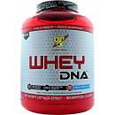 Proteiny BSN DNA Whey 1870 g