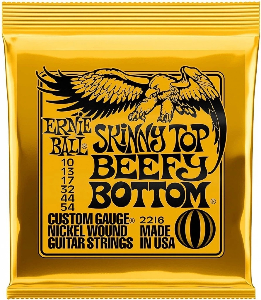Ernie Ball 2216