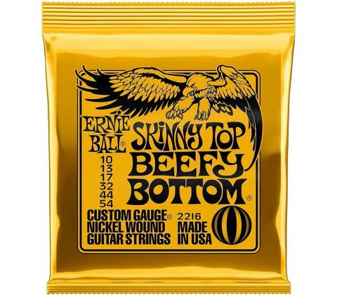 Ernie Ball 2216