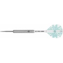 steel TARGET Rob Cross 21g SP, 90% wolfram