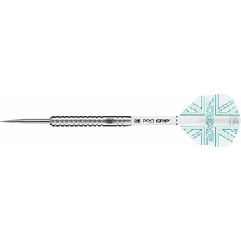 steel TARGET Rob Cross 21g SP, 90% wolfram