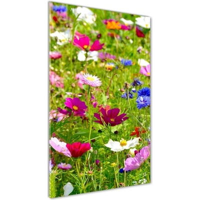 Vertikálny foto obraz sklenený Poľné kvety 50x100 cm