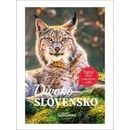 Divoké Slovensko