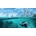 Anno 2070 Deep Ocean