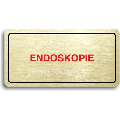 ACCEPT Piktogram ENDOSKOPIE - zlatá tabulka - barevný tisk