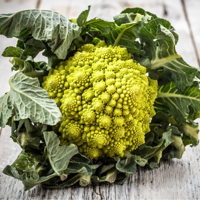 Květák Veronica F1 - Brassica oleracea L. convar. botrys - semena květáku - 10 ks