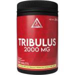 Lazar Angelov Nutrition Tribulus 2000 mg | 40% Saponins Tribulus Extract [90 Таблетки]