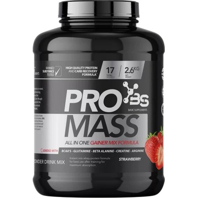Basic Supplements PRO MASS 2600 g