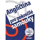 Angličtina pro pokročilé