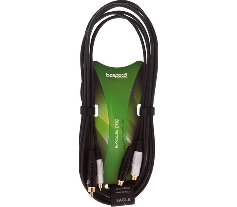 Bespeco EA2X300