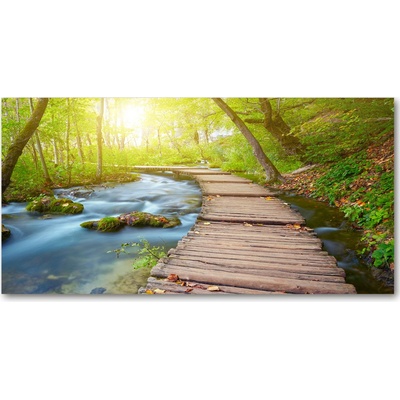 Foto obraz sklo tvrzené Chodník v lese 100x50 cm
