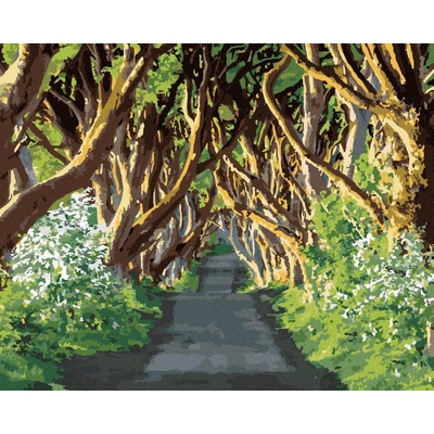 zuty Malování Podle Čísel Cesta Obklopená Stromy Ted Davis 40 x 50 Cm Plátno Rám