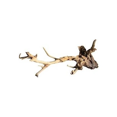 Macenauer kořen Talawa Wood L 50-70 cm