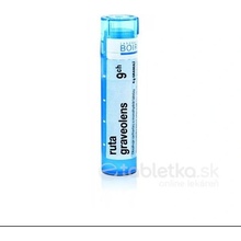 Ruta Graveolens gra.1 x 4 g 9CH