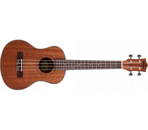 Prodipe Guitars