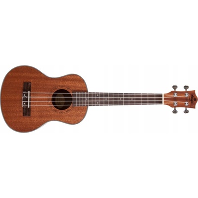 Prodipe Guitars