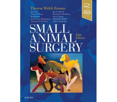 Small Animal Surgery