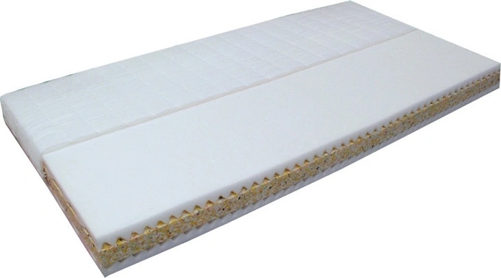 Vesna Standard