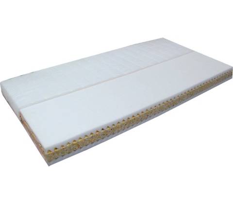 Vesna Standard
