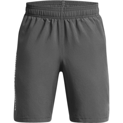 Under Armour UA Woven Wdmk Shorts sivá